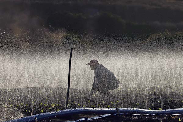 “El Ministro se equivoca en la forma de apoyar a la agricultura”: gremio agrícola responde a declaraciones de Campos por cobro en el uso del agua