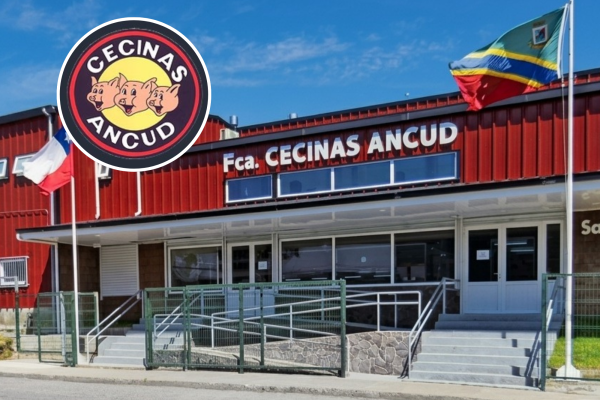 Cecinas Ancud activa plan de expansión con nueva red de locales propios para fortalecer canal de venta directa y proyecta alza de 20% en ingresos