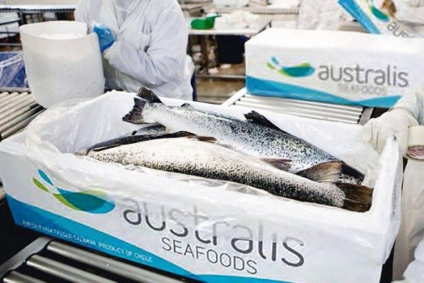 <p>Australis aclara que Shaopeng Chen continuará como CEO de su matriz en China</p>