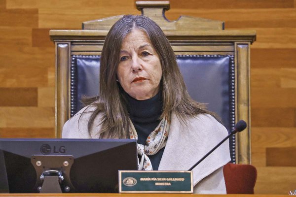Cambio de mando en el Tribunal Constitucional: los desafíos que enfrentará María Pía Silva