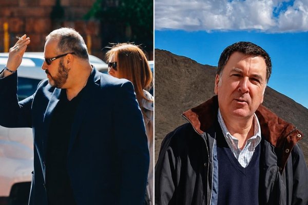 “Se rechaza la demanda interpuesta por Jorge Alberto Sebastián Dávalos Bachelet”: Tribunal desestima acción en contra de Gonzalo Vial Concha