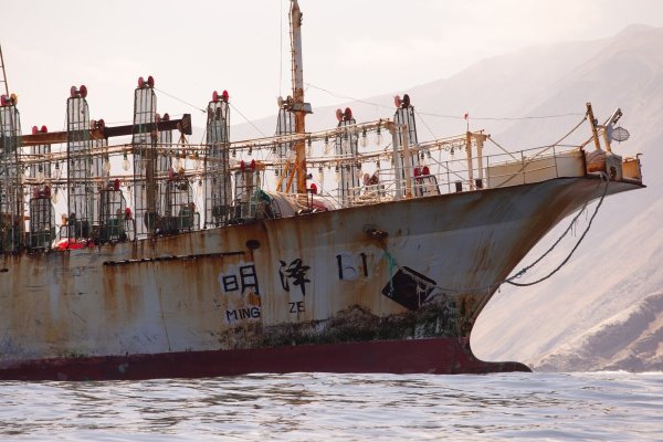 Recalada de pesqueros chinos en puertos chilenos se disparó 2.700% en 2025 y Oceana proyecta nueva alza este año a medida que avanza temporada de la jibia
