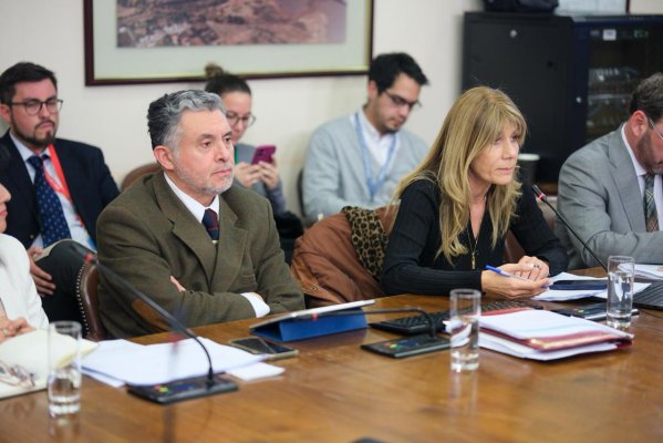 Proyecto para saldar deuda con distribuidoras eléctricas se votará este miércoles en la Sala de la Cámara Baja tras luz verde de la comisión