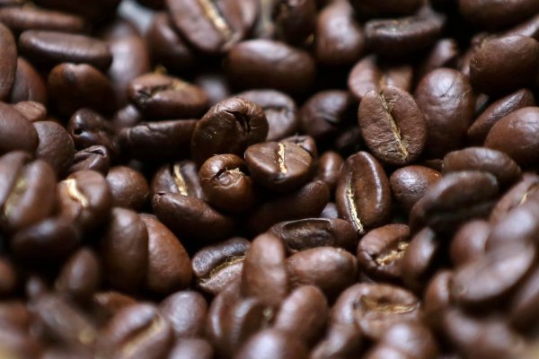 El café colombiano no logra recuperarse: producción cayó 10% en el primer semestre pese al repunte de junio