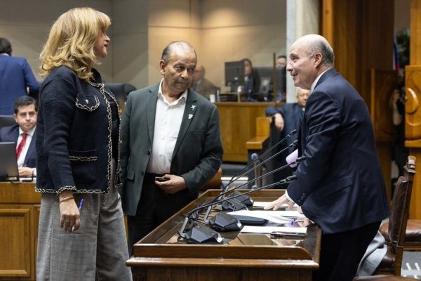 Directiva PPD le quita el piso al acuerdo entre sus senadores y el gobierno por invariabilidad tributaria
