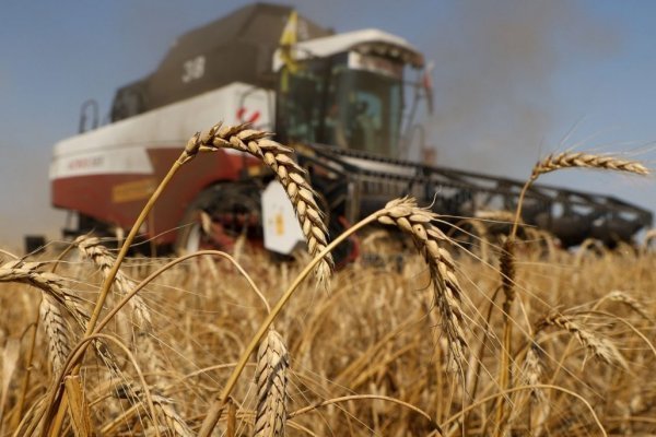 Panaderos y agricultores ponen paños fríos ante expectativas de nuevos aumentos de precios de los alimentos tras sorpresivo IPC de junio