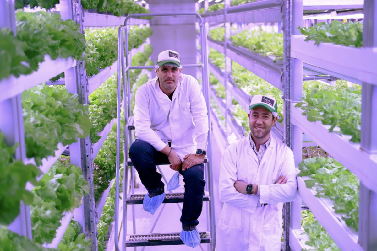<p>Agrourbana, la startup pionera de las lechugas verticales que levantó más de US$ 11 millones cesó operaciones</p>