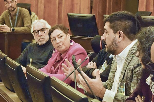 Parlamentarios de oposición respaldaron los cuestionamientos de los centros de estudio.