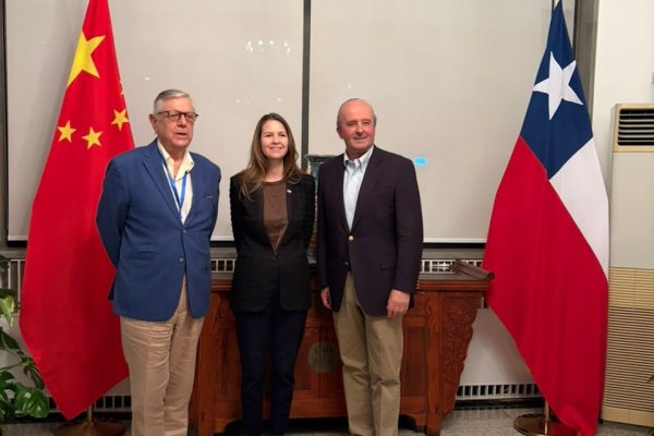 “Mostrar a Chile como un aliado confiable”: subsecretario de Relaciones Exteriores inicia visita a China