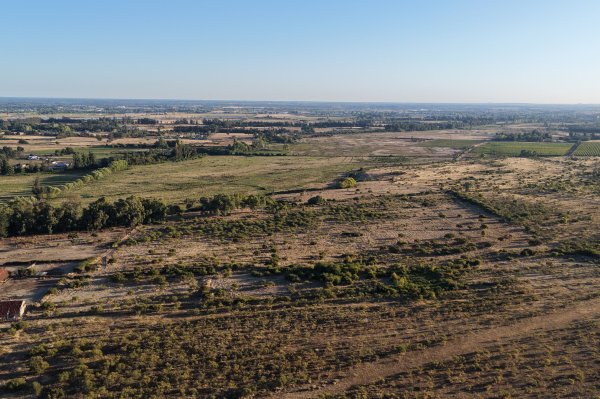 Toesca adquiere campo de 800 hectáreas en Chillán para portafolio agrícola