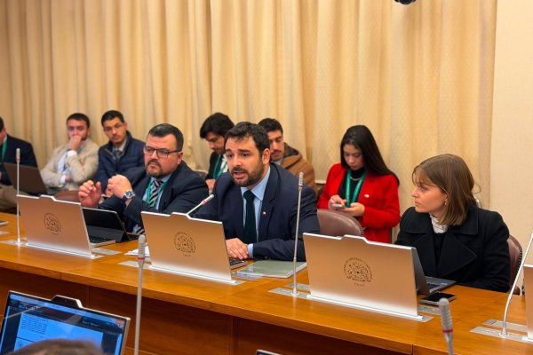 <p>Gesto al PDG: proyecto de compensación por pañales y medicamentos avanza en la Cámara</p>