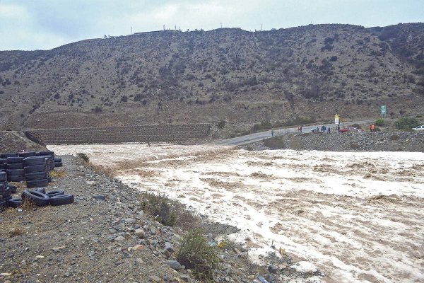 <p>Pisco Chile estima que más de 150 de sus cooperados han sido afectados y anticipa impacto en el mercado interno</p>