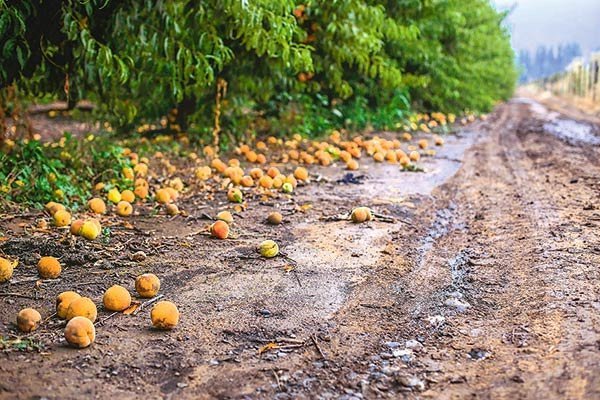 <p>Daños totales del temporal escalan a US$ 400 millones, pero lluvias abastecen embalses por hasta cuatro años</p>