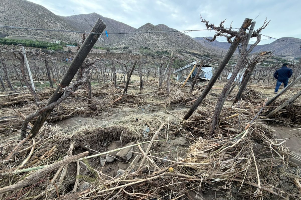 <p>“No se puede medir una catástrofe sentado en una oficina”: Control Pisquero acusa a ministro de Agricultura de minimizar daños del temporal</p>