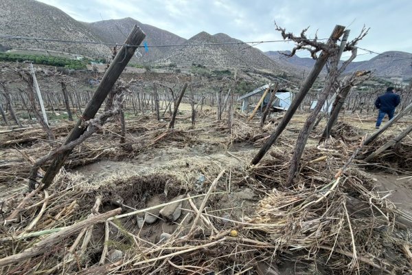 <p>“No se puede medir una catástrofe sentado en una oficina”: Control Pisquero acusa a ministro de Agricultura de minimizar daños del temporal</p>