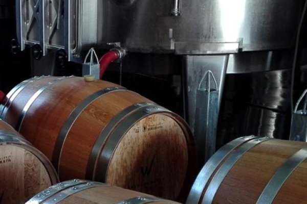 <p>Venta de la empresa, de acciones o activos: las propuestas de firma chilena líder en vino fino a granel para evitar su quiebra</p>