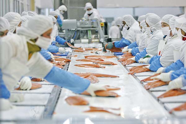 <p>Alianza entre CPC Biobío y SalmonChile busca habilitar Carriel Sur para exportaciones y reducir la dependencia del aeropuerto de Santiago</p>