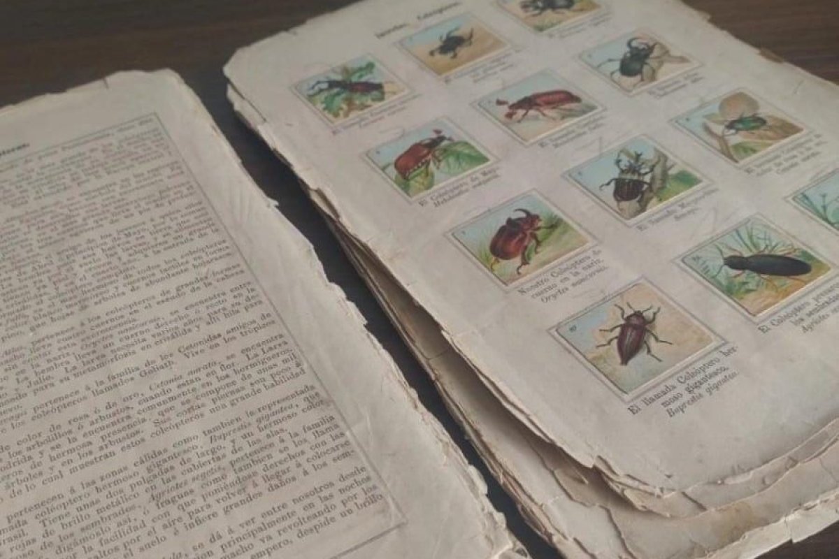 <p>El arte de no dejar morir las cosas</p>