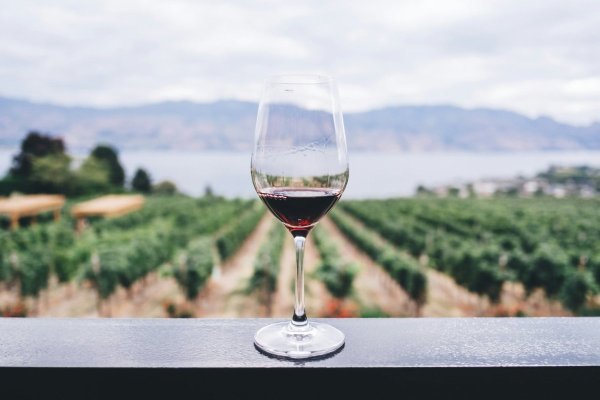 <p>Concha y Toro encabeza la bolsa chilena con alza de 3% tras resultados que superaron las expectativas en el segundo trimestre</p>