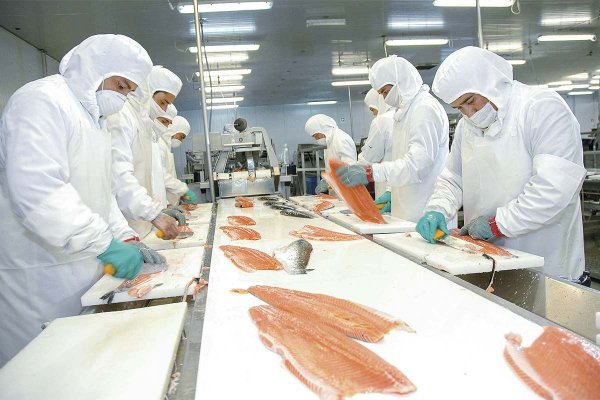 <p>¿Y la competitividad de los envíos chilenos? Salmones quedan en mejor pie que la uva</p>