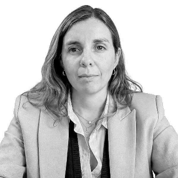 Los Libertadores: una oportunidad para modernizar la logística terrestre