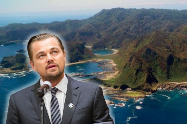 <p>Foto: Ministerio de Medio Ambiente </p>