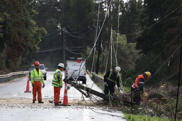 <p>Miles de árboles cayeron sobre tendidos eléctricos durante los últimos temporales. (Foto: Aton Chile)</p>