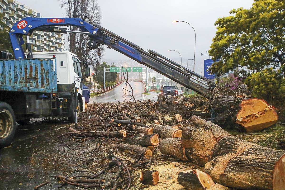 <p>Miles de árboles cayeron sobre tendidos eléctricos durante los últimos temporales. (Foto: Aton Chile)</p>