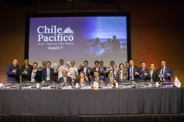 Brasil aumenta su apuesta por productos chilenos: el vino lidera y el salmón abre nuevas oportunidades