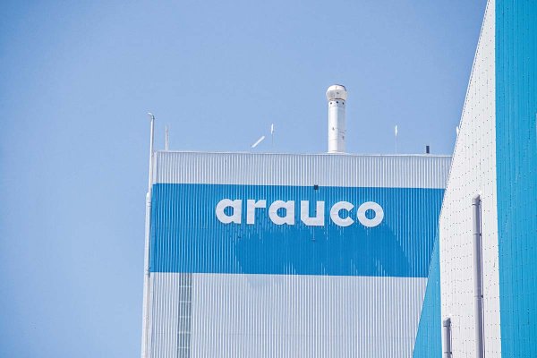 <p>Arauco se aleja de las pérdidas y alcanza utilidades por US$ 71 millones al primer semestre</p>