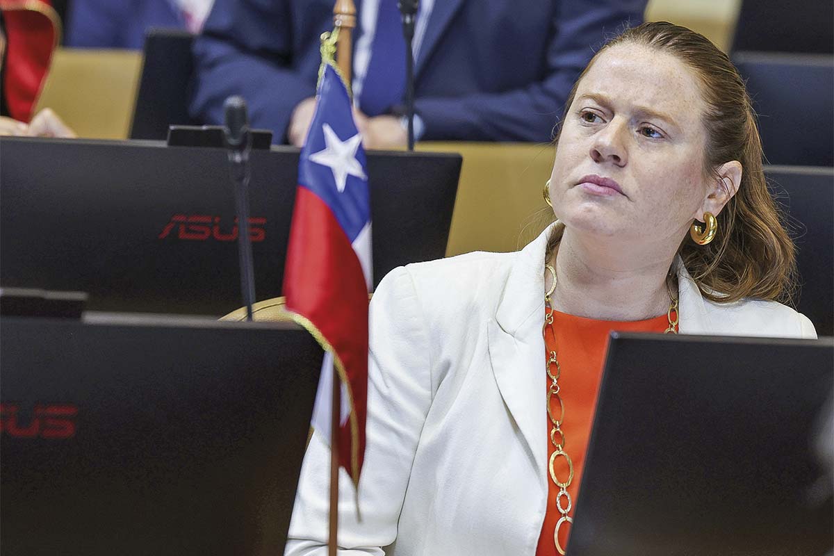 <p>Foto: Cámara de Diputados</p>