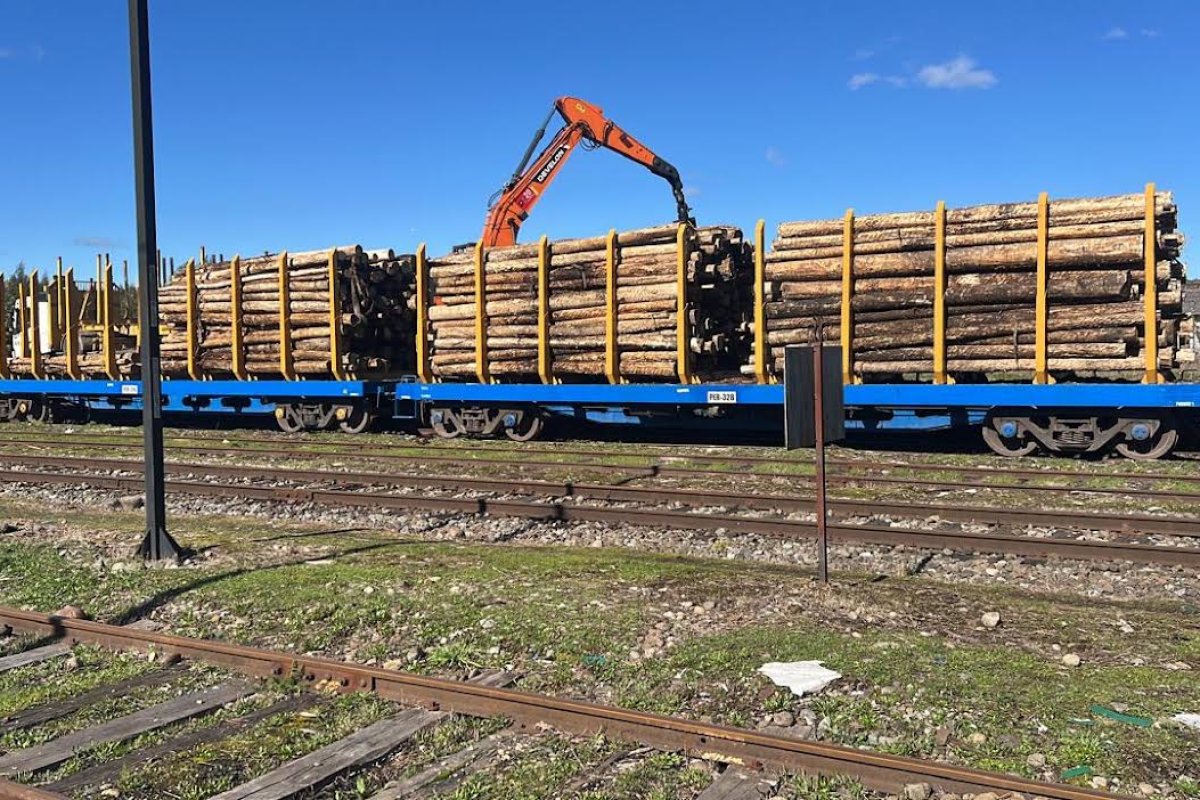 <p>Empresa de carga ferroviaria Transap abre nueva ruta para transporte de materias primas de CMPC entre Los Ríos y Biobío</p>