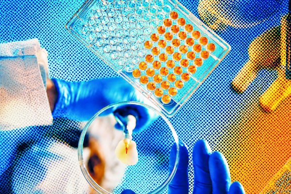<p>El auge de las biotecnológicas como el próximo gran polo para los mercados e inversionistas</p>