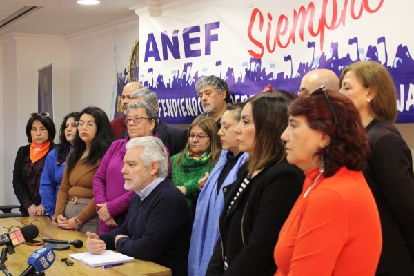 ANEF y mesa para la modernización del empleo público: “Queremos ser parte también de las resoluciones definitivas”