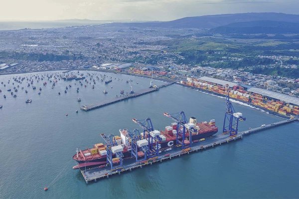 El frente ambiental que reciben los Von Appen a días de tomar el control de Puerto Coronel