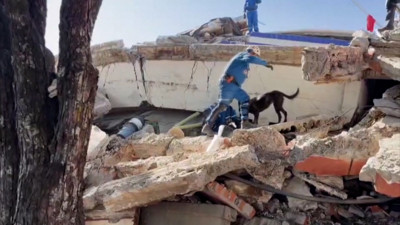 Ahora en DF | Terremoto de Colombia deja 289 personas fallecidas y 143 desaparecidos