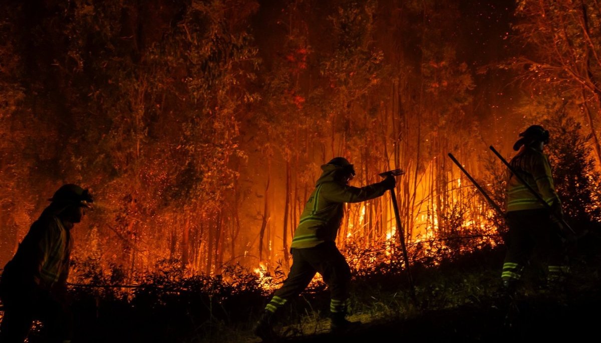 Biobío adelanta en un mes inicio de medidas de prevención de incendios forestales ante un verano marcado por altas temperaturas de El Niño