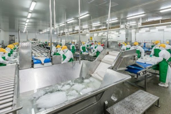 PacificBlu expuso en el Senado los impactos económicos positivos para Biobío y Ñuble de modificar Ley de la Jibia