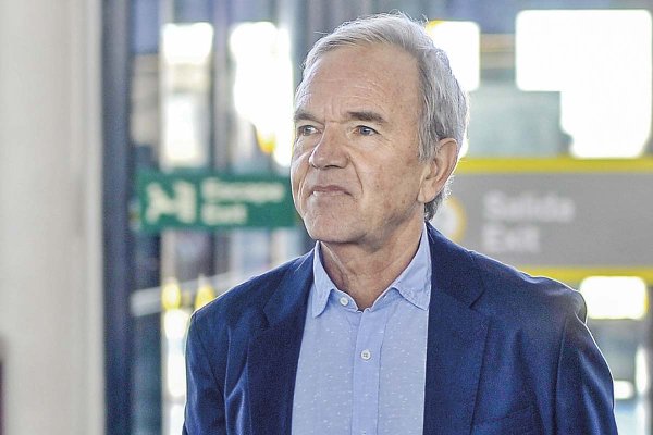 Exinversionista tras Construmart presenta querella por estafa y apunta a actuación de Gabriel Ruiz-Tagle