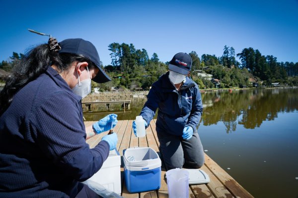 Autoridad sanitaria del Maule inició monitoreos por cianobacterias en el lago Vichuquén