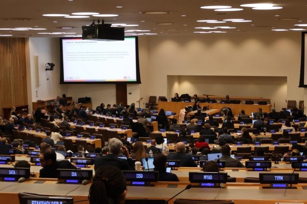 Chile pierde influencia, según especialistas, por retirarse de las negociaciones de la Convención Tributaria de la ONU