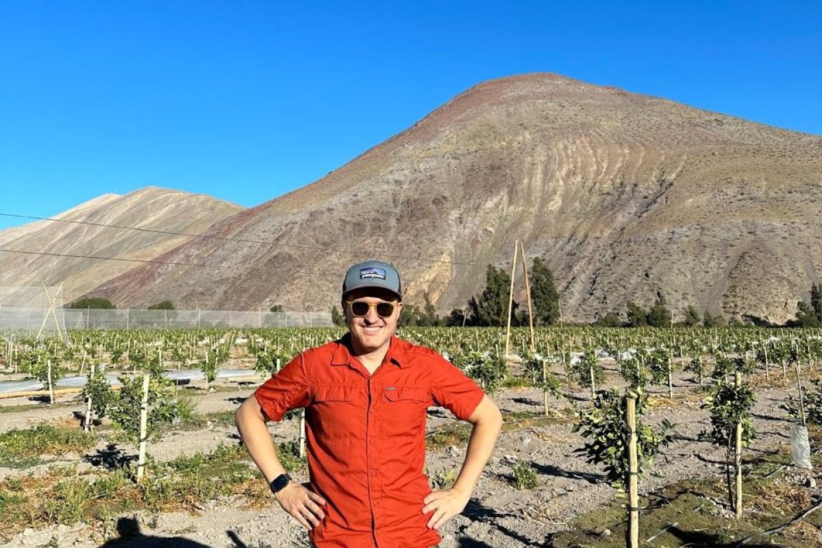 Mil hectáreas de pistacho a 2040: la apuesta agro de los Del Río Arteaga