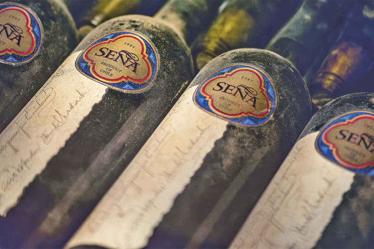 Los nuevos socios de Eduardo Chadwick en sus tres vinos más exclusivos