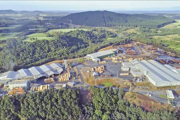 CMPC refuerza operaciones en Biobío con más de US$ 90 millones en medio de reorganización de negocios