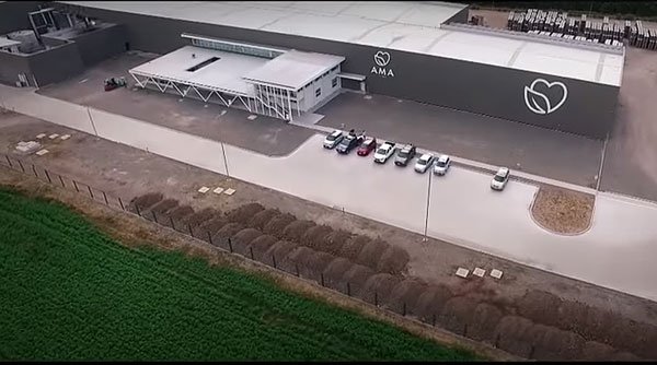 Fondo ligado a rama de los Luksic y Carlos Eugenio Lavín vende 50% de productora de jugos AMA