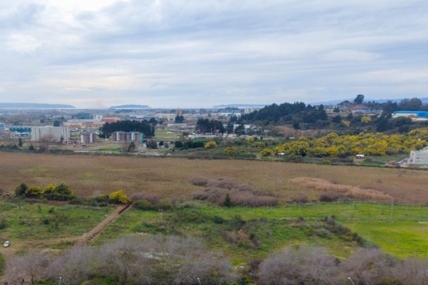 Foto: Municipalidad de Concepción