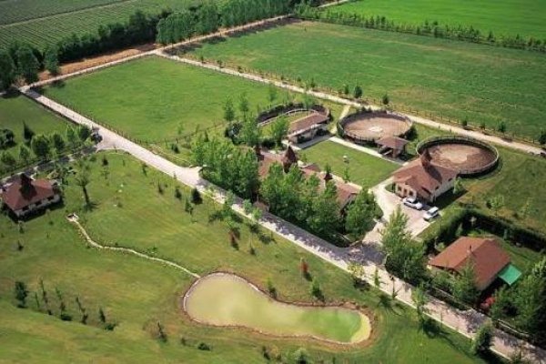 Reconocido criadero de caballos abre disputa judicial contra eléctrica Saesa por líneas de transmisión que pasarían sobre su terreno en Buin