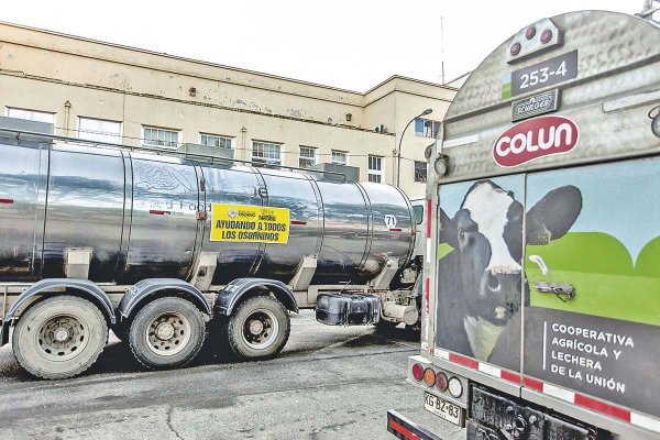 Colun sufre revés judicial: tribunal mantiene suspendida la expulsión de Agrícola Las Mercedes