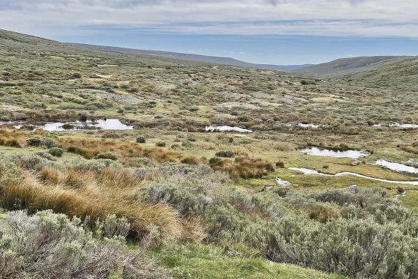 Fiebre del oro en Tierra del Fuego: minera quiere explotar yacimiento cerca de un estero por nueve años