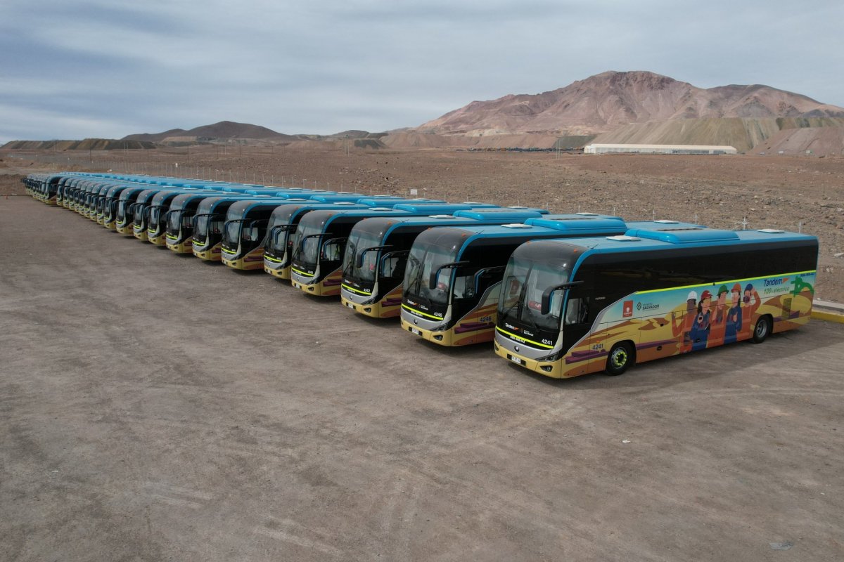 La arremetida de Codelco contra grupo Pullman Bus: apunta a querella por administración desleal, petición de quiebra y denuncia por prácticas antisindicales